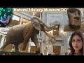 Natural History Museum Smithsonian 🦕 Washington D.C Full Tour