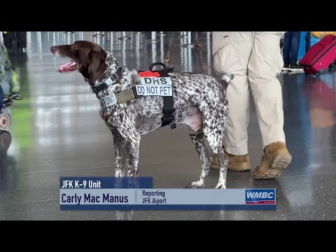 T. S. A. Officials Deploy Explosive–Detecting Dogs At Airports