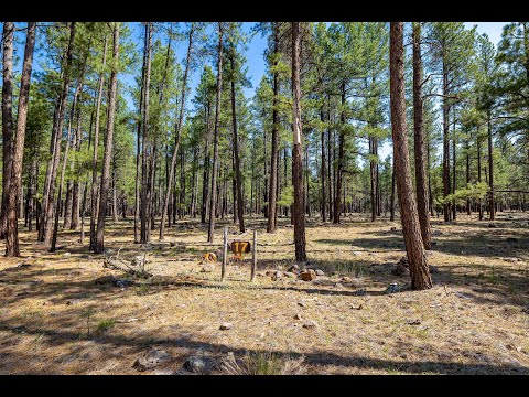 17560 Osprey Circle | Munds Park, AZ - The Agency