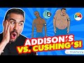 Acing the NCLEX: Mastering Addison's vs. Cushing's Disease
