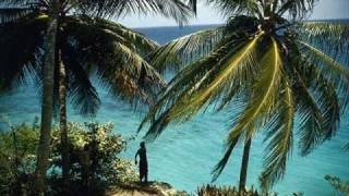 Bunny Wailer - Zion Train