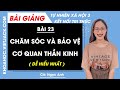 Tự nhiên xã hội lớp 3 Bài 23: Chăm sóc và bảo vệ cơ quan thần kinh