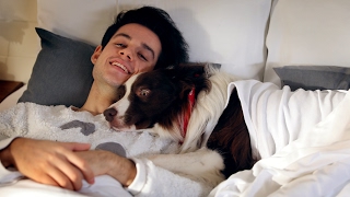 Orkun Işıtmak - Köpek Değilim (Official Music Video)