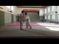 Effektiv Bunkai Kata Heian Godan