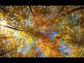 Vangelis    Twenty Eight  Parallel