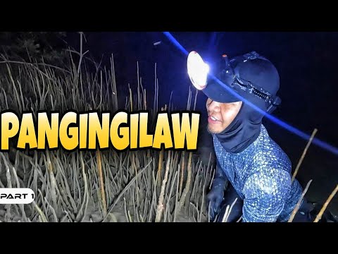 EP973-P1 - Pangingilaw ng Dakomo at Palaka