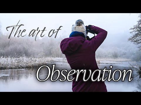 The Art of Observation in Photography