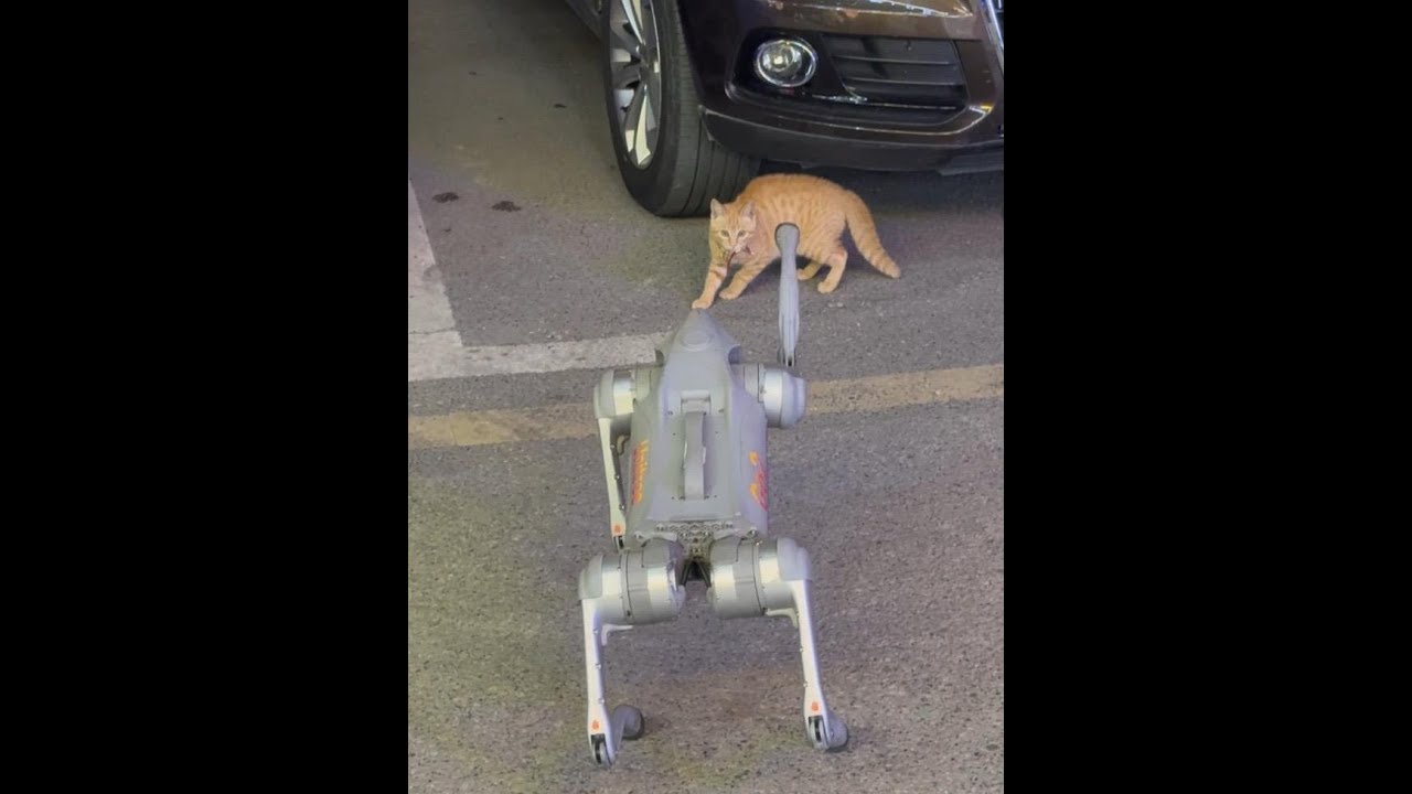 Hello Kitty Robot Dog Dog Cat Orange Cat Yushu Technology