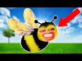 BEE SIMULATOR