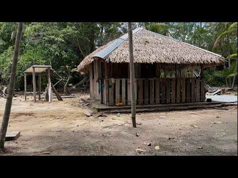 A casinha do meu pai no coração da Amazônia 🌿🦜
