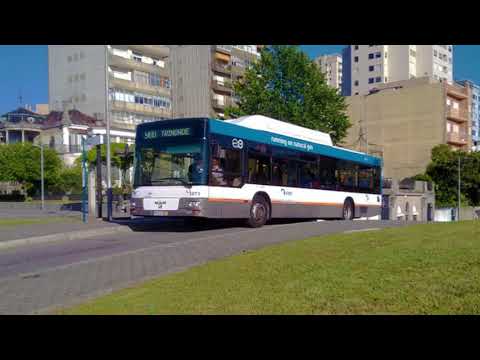 STCP 3070 (audio recording - archive)