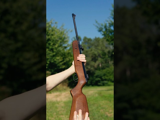 Vídeo relacionado con ECOMMUR Escopeta de balines | Carabina - Rifle de Aire comprimido (Muelle) y perdigones Calibre 4.5mm [3 Julios - Actividades Deportivas]