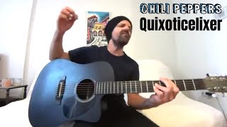 Quixoticelixer - Red Hot Chili Peppers [Acoustic Cover by Joel Goguen]