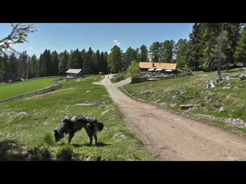 Da Avelengo alla Malga Maiser - 27 maggio 2017