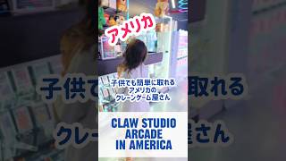 Claw studio arcade めっちゃ取れるアメリカのクレーンゲーム屋さん #海外在住ママ #shorts #海外生活 #アメリカ生活　#ショート