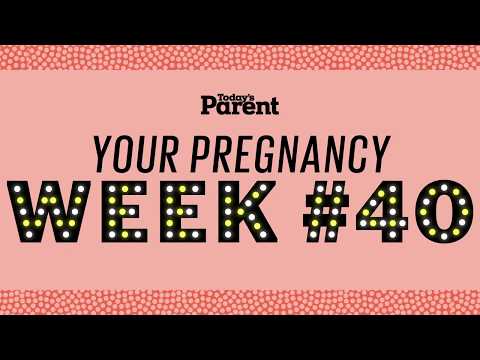 Your pregnancy: 40 weeks