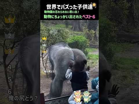 動物園の思い出！動物にちょっかい出された子供達ベスト６
