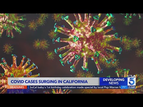 "Stratus" variant causes COVID cases to surge in California