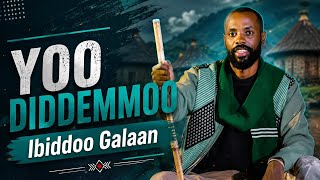Download lagu Ibiddoo Galaan YOO DIDDEMMOO New Oromo Music mp3 Download lagu Ibiddoo Galaan YOO DIDDEMMOO New Oromo Music mp3