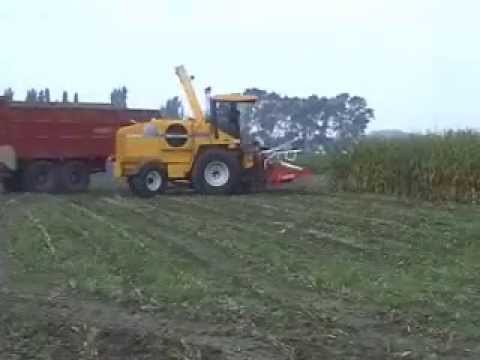 Demarez-Marreel: Mais hakselen.