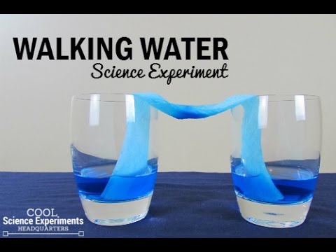 Walking Water Science Experiment