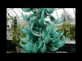 The New York Botanical Garden