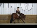 MADE MY INVESTMENT - 2015 AQHA POINT & MONEY EARNING SHOW GELDING BY MACHINE MADE