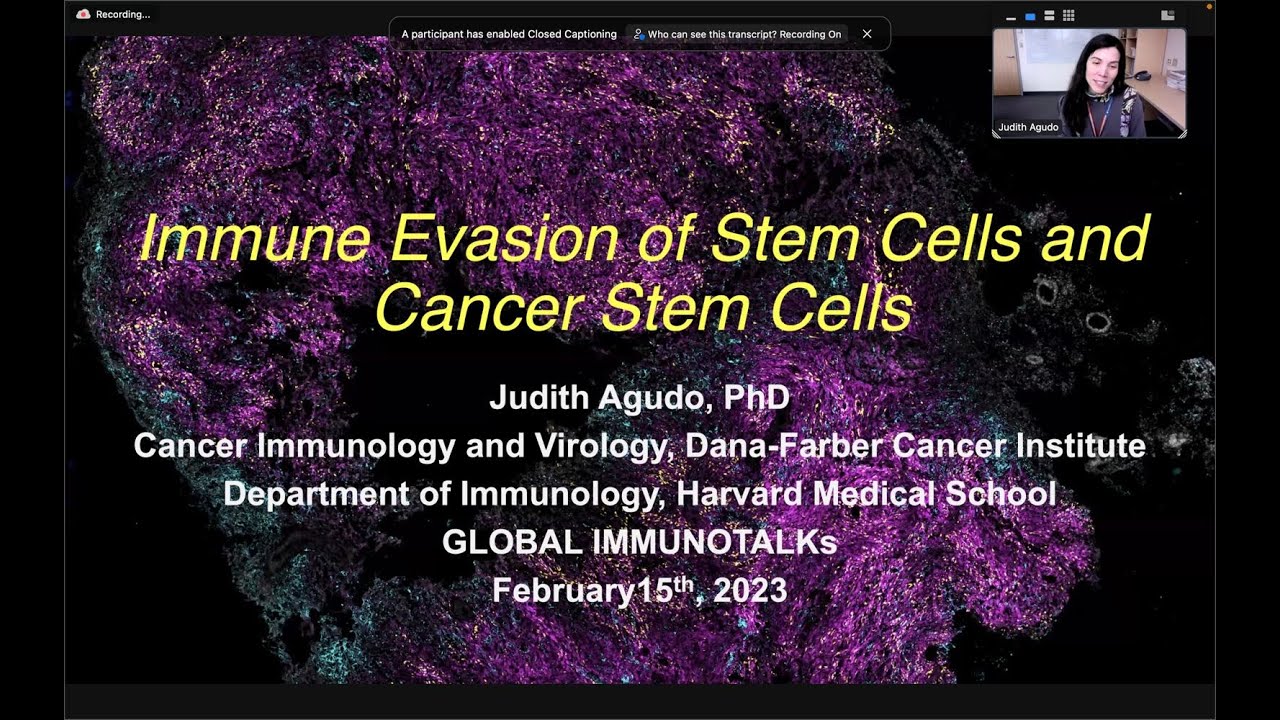 Are cancer stem cells quiescent?