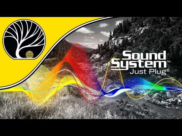 Bring Your Layout to Life with Just Plug® Sound System Video