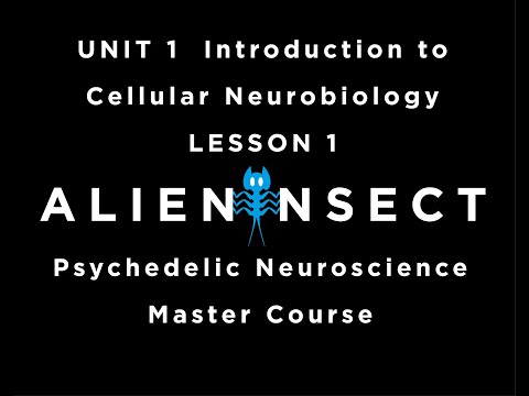 Psychedelics and the Brain Master Course UNIT 1 Introduction to Cellular Neurobiology LESSON 1