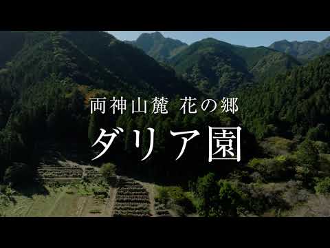 小鹿野町観光ＰＶ「両神山麓 花の郷 ダリア園」