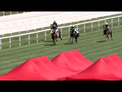 2022.06.19. 01. futam - NYERETLEN KÉTÉVESEK VERSENYE (IV.kat.)