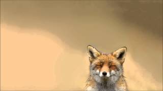 Lovebirds - In The Shadows (Lovebirds Reprise)