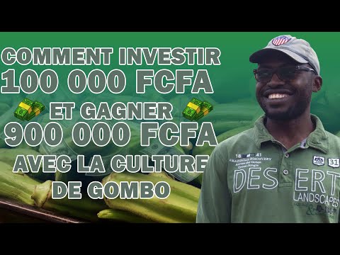 , title : 'COMMENT INVESTIR 100K ET GAGNER 900K AVEC LE CULTURE DU GOMBO'
