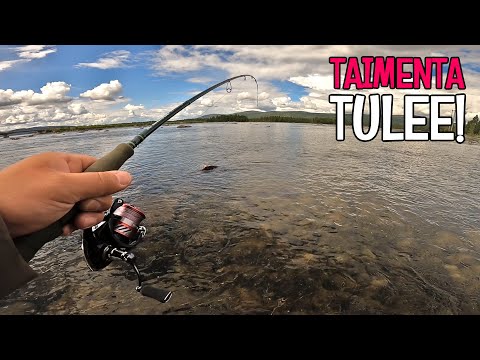 A QUICK TRIP TO THE BEST FISHING PLACES IN LAPLAND