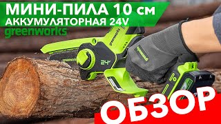 Видео про мини-пилу аккумуляторную цепную Greenworks 10 см 24V G24MCS10 2008207, с АКБ на 4 А*ч и ЗУ