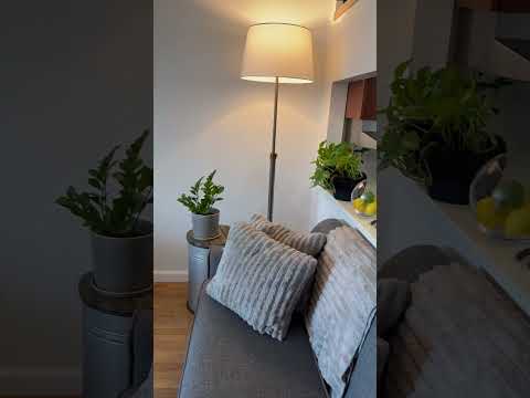 video 1