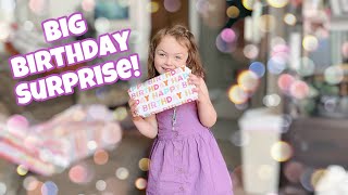 A Big Birthday Surprise! | New Intro | Vlog 271