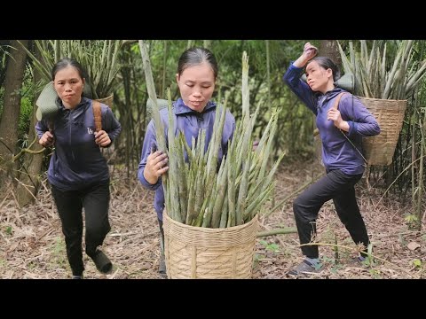 Life of survival / Lost in the bamboo shoot forest / Ut Tran.