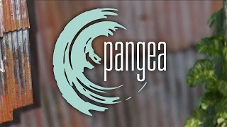 preview picture of video 'Pangea: Earth’s Flavors Reimagined'