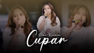 Download lagu Dini Kurnia - CUPAR || Fyp On TikTok!!! mp3 Download lagu Dini Kurnia - CUPAR || Fyp On TikTok!!! mp3