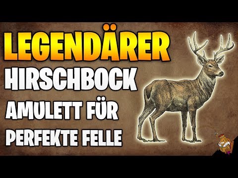 Red Dead Redemption 2: LEGENDÄRER Hirsch - Fundort und Amulett für PERFEKTE Felle | Tipps zur Jagd