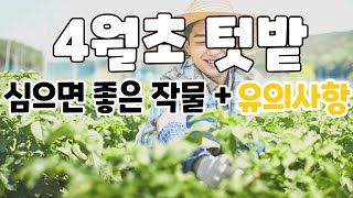 4월초에 심기 좋은 작물과 유의점은? | 농사 100단