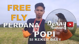 Download lagu CUMA PAKE PELUIT KANG PARKIR BURUNG INI LANGSUNG DATANG TANPA REMOTE CONTROL! MELATIH KEKEP FREE FLY mp3 Download lagu CUMA PAKE PELUIT KANG PARKIR BURUNG INI LANGSUNG DATANG TANPA REMOTE CONTROL! MELATIH KEKEP FREE FLY mp3