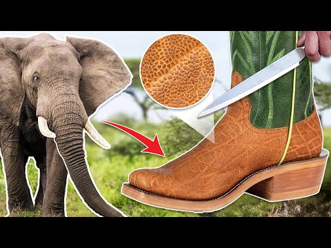 YouTube demonetized this vid, $900 Elephant cowboy boots - Rios of Mercedes