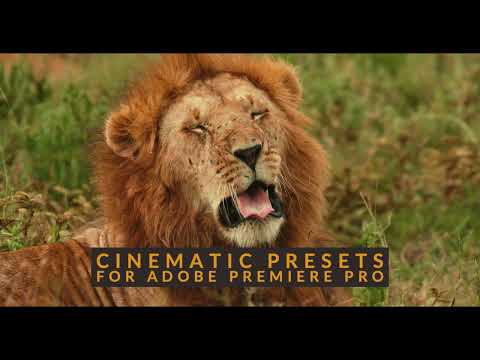 elevate-your-video-editing-5-canon-luts-for-premiere-pro - Best LUTs for Filmmakers
