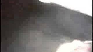 The Samples live at the Cabooze