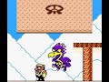 Bird Boss Wario Land II