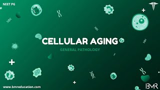 Cellular Aging | General Pathology