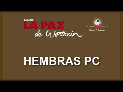 Hembras PC La Paz de Werthein